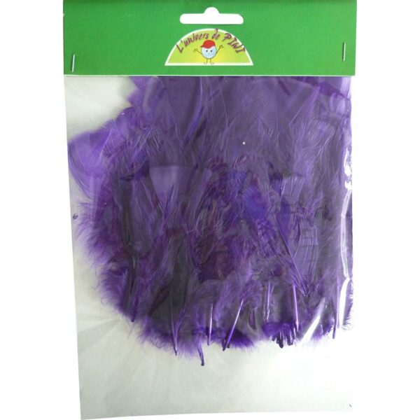 Graine Creative 5 g Turkey Feathers, Purple